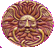 celtes